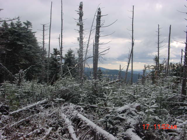 P20_Looking_East_At_End_Of_Tracking_Line_El_3420.jpg