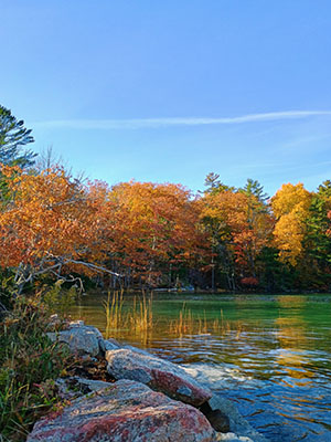 Kennebunkport Foliage in Maine