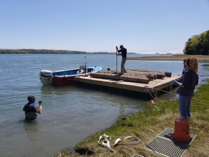 Logs on barge
