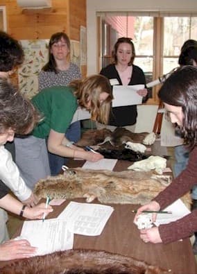 Envirothon students at work