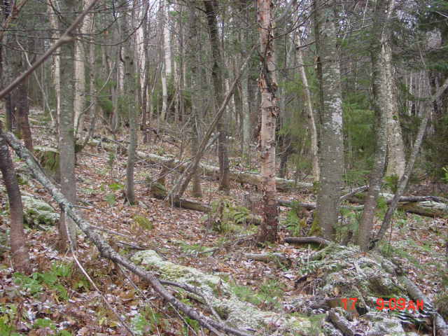 P09_Looking_Toward_19.jpg