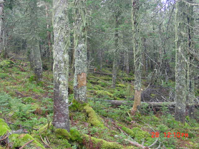 P10_Near_Point_12.jpg