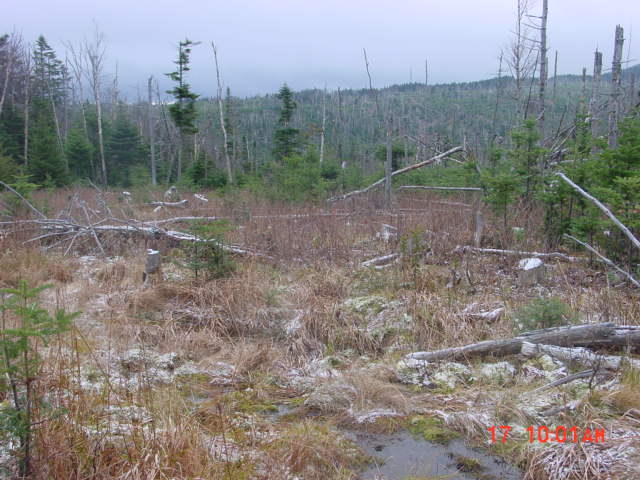P12_Near_23_Looking_At_Low_B_Nubble.jpg
