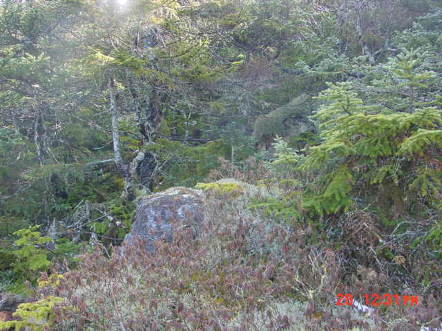 P12_Near_Point_15.jpg