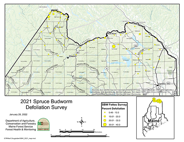 2021 Spruce Budworm Defoliation Survey