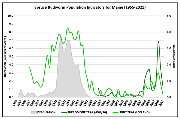 Spruce Budworm Population Indicators: Maine 1955-2021