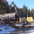 Load of logs being hauled out of the woods over a skidder bridge.