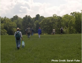 People walking through field towards forest.
