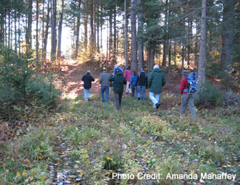 Group of about ten people walking into the woods on an old skid trail.