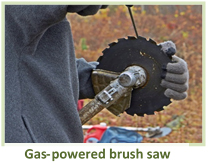 Image of a gas-powered brush saw