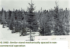 1982: Similar stand mechanically spaced in non-commercial operation
