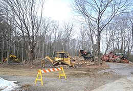 A landing and woodyard area during a timber harvest.