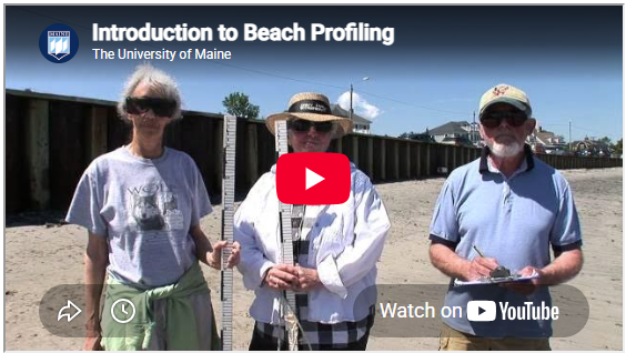 image of profiling video