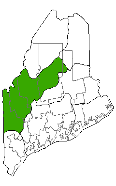 map showing distribution of bilberry - mountain heath alpine snowbank in Maine