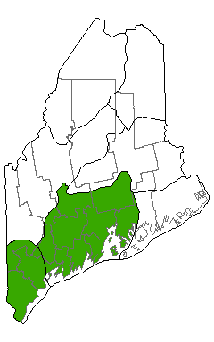 map showing distribution of atlantic white cedar swamp in Maine