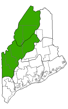 Map showing distribution of Circumneutral Open Outcrop in Maine