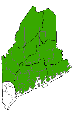 Map showing distribution of Low Sedge Fen communities in Maine