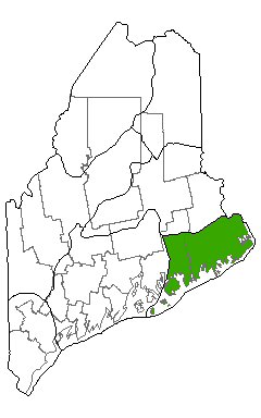 Map showing distribution of Deer-hair Sedge Bog Lawn communities in Maine