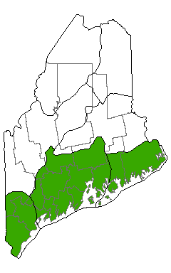 Map showing distribution of Spartina Saltmarsh communities in Maine