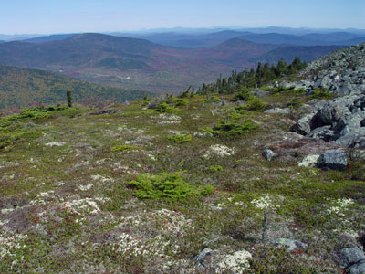 Picture showing Heath Alpine Ridge