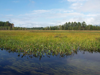 Photo: Image of Duck Lake