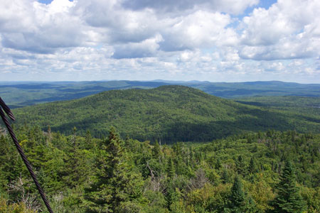 Photo: Green Mountain, view of forest communities