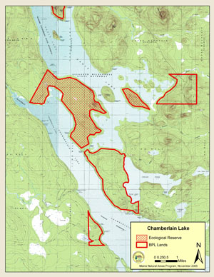 Map showing location of Chamberlain Lake Ecoreserve