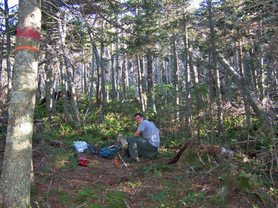 Photo: Ecologist in a survey plot at Mt. Abraham