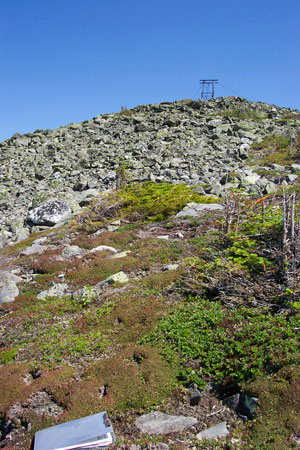 Photo:  Looking toward the summit of Mt. Abraham