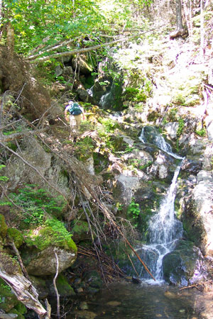 Photo: Ecologist walking up trail at Mt. Abraham