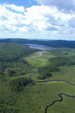 Photo: Aerial view of St. John Ponds Ecoreserve