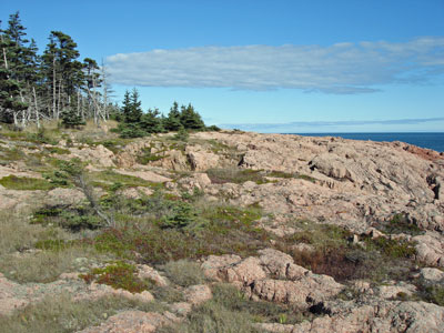 Picture showing Open Headland community