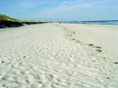 photograph of a beach strand