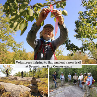 Volunteers flagging new trail at Frenchman Bay Conservancy.