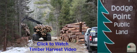 Video of timber harvest at Dodge Point Public Land.