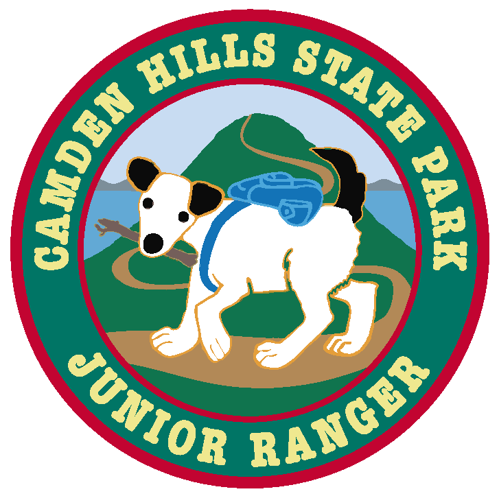 Junior Ranger patch for Camden Hills State Park