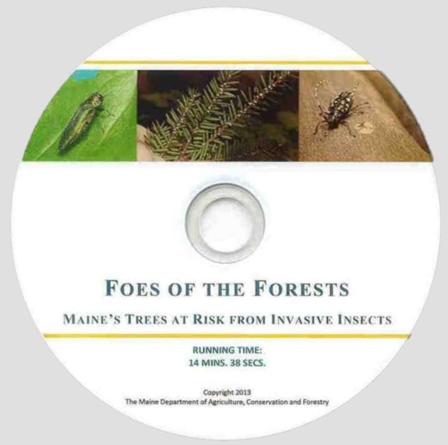 Foes of the Forest dvd