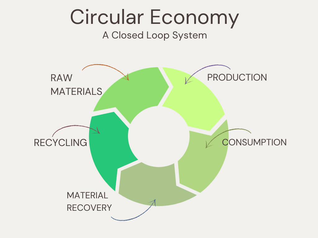 circular economy diagram: a closed loop system beginning with raw materials, then production, then consumption, then material recovery, then recycling, and lastly returning to raw materials
