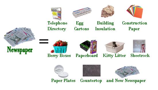 Newspaper becomes telephone directories, egg cartons, building insulation, construction paper, berry boxes, paperboard, kitty litter, sheetrock, paper plates, countertop, and new newspapers