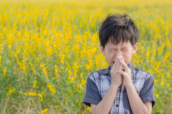 photo of boy sneezing in field of ragweed