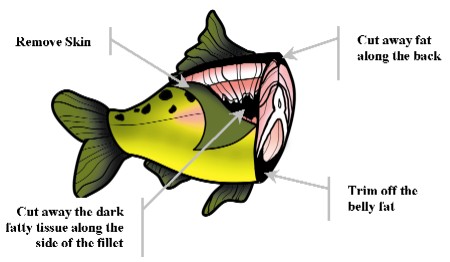 Fish Prep Chart