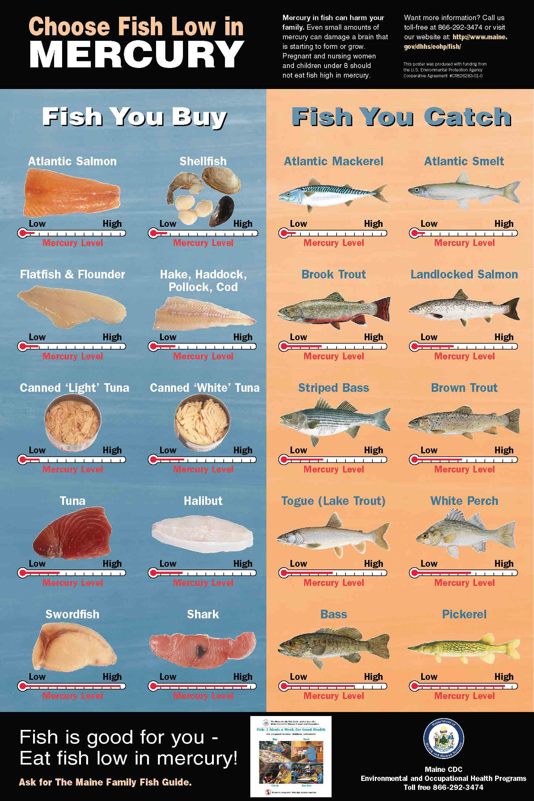 this poster shows mercury levels for different kinds of fish