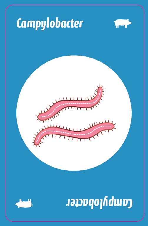 campylobacter germ-O card