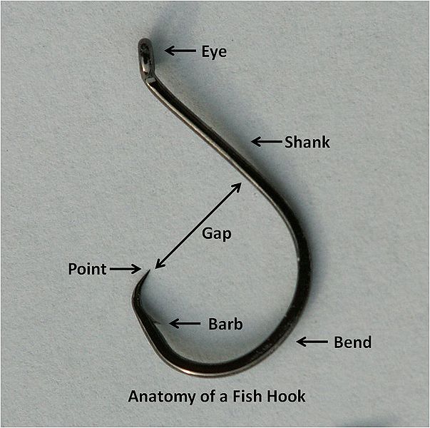 Anatomy of a circle hook
