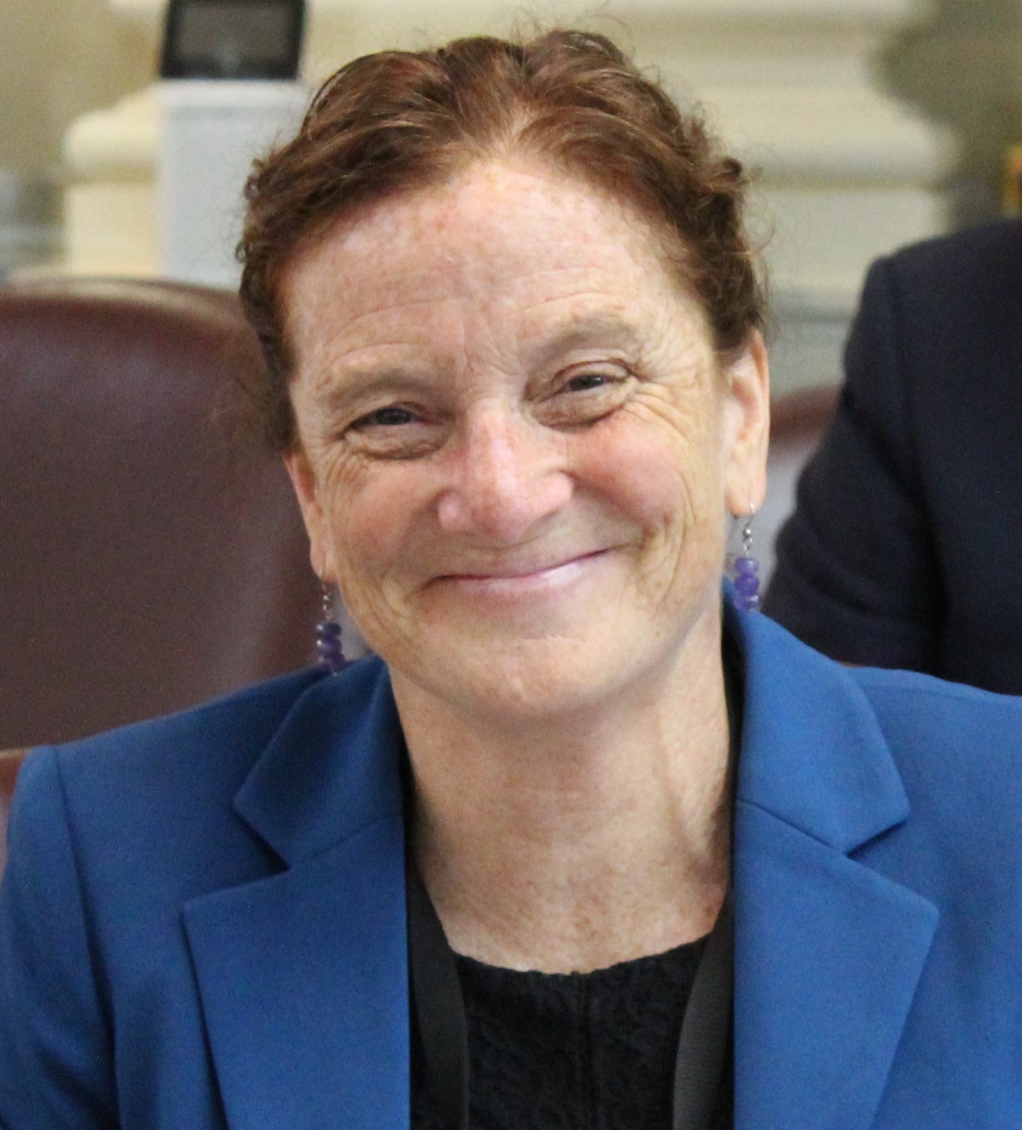 Rep. Krisit Mathieson