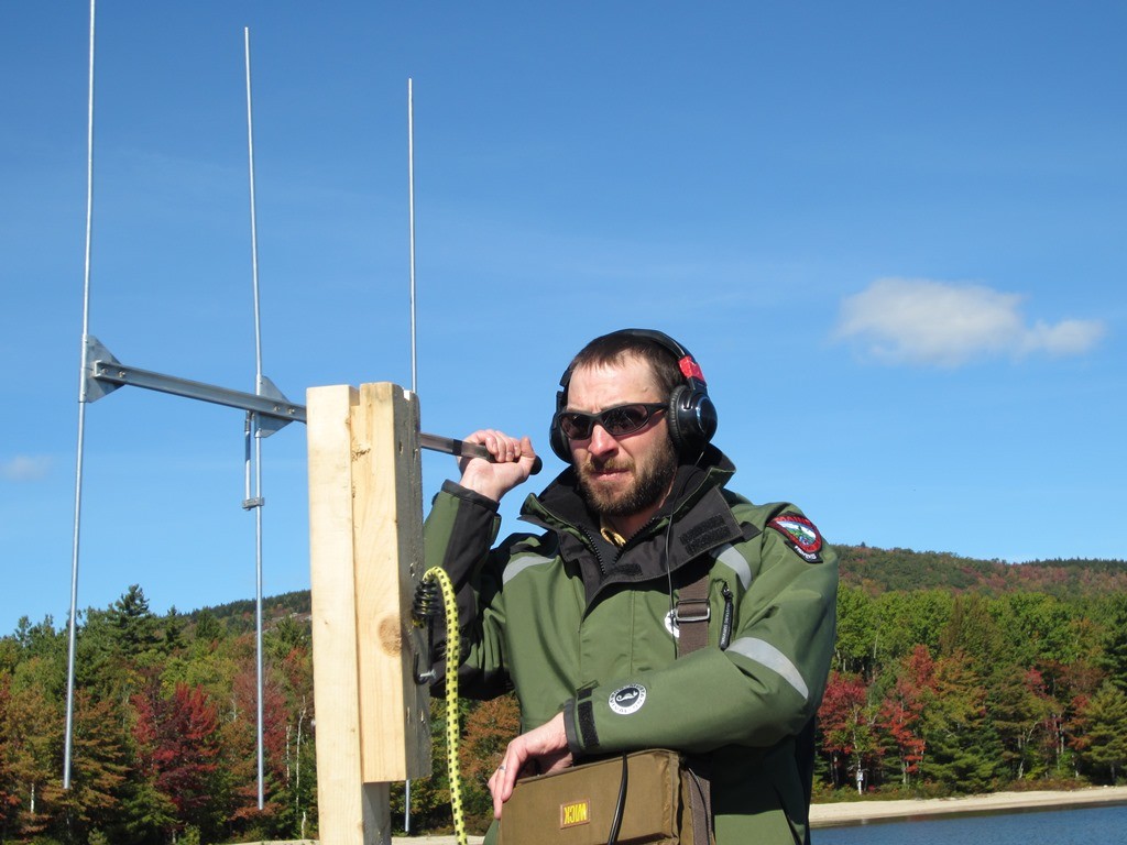 small - Tunk Lake 2015 Telemetry Jeremah Inplanting Tag4