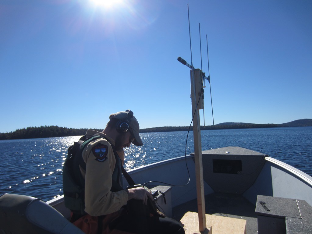small - Tunk Lake 2015 Telemetry Jeremah Inplanting Tag5