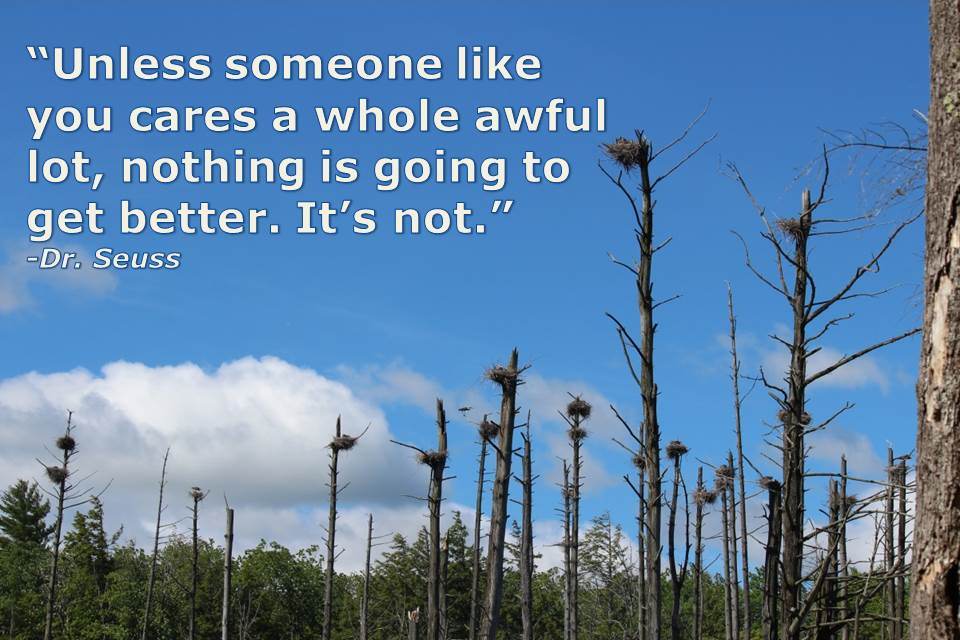 SeussQuote