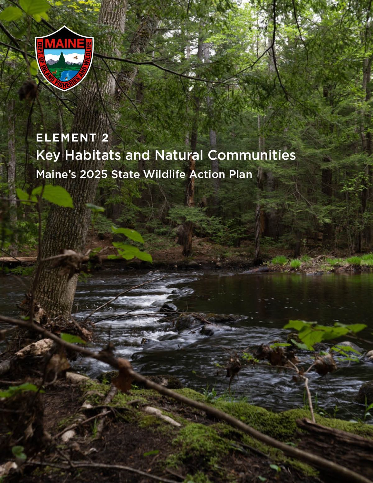 Dark, shaded green forest with stream meandering through, MDIFW logo in top corner with text: Element 2: Key Habitats and Natural Communities, Maine's 2025 State Wildlife Action Plan