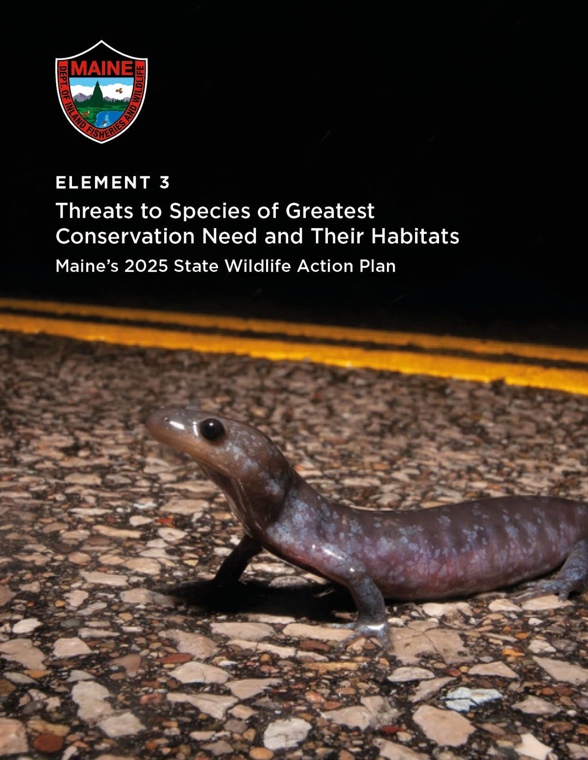 Blue spotted salamander walking across tarred road at night with head picked up, two bright yellow lines on road, MDIFW logo in top corner with text: Element 3, Threats to Species of Greatest Conservation Need and Their Habitats, Maine's 2025 State Wildlife Action Plan